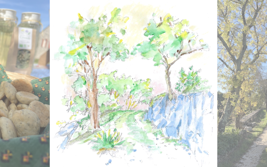 Promenade Méditative Contée